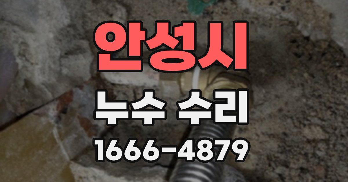 안성시 누수 수리