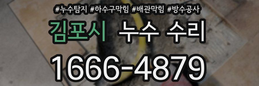 김포시 누수 수리