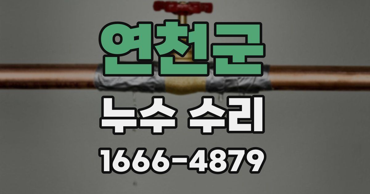 연천군 누수 수리