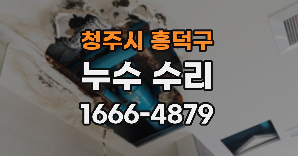 청주시 흥덕구 누수 수리