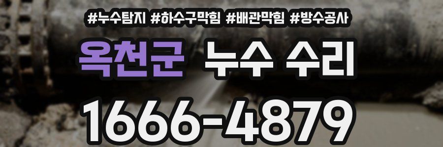 옥천군 누수 수리