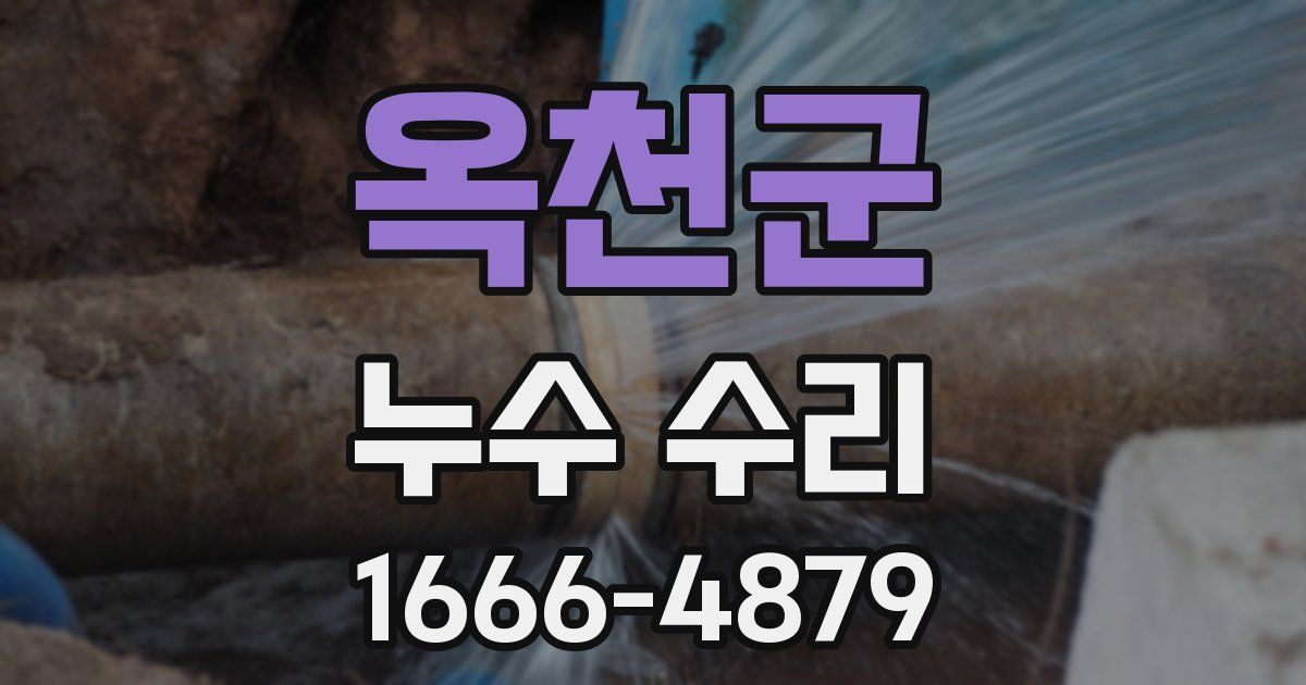 옥천군 누수 수리