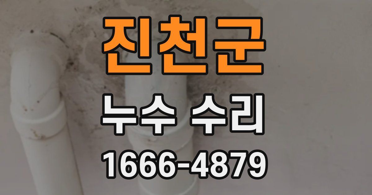 진천군 누수 수리