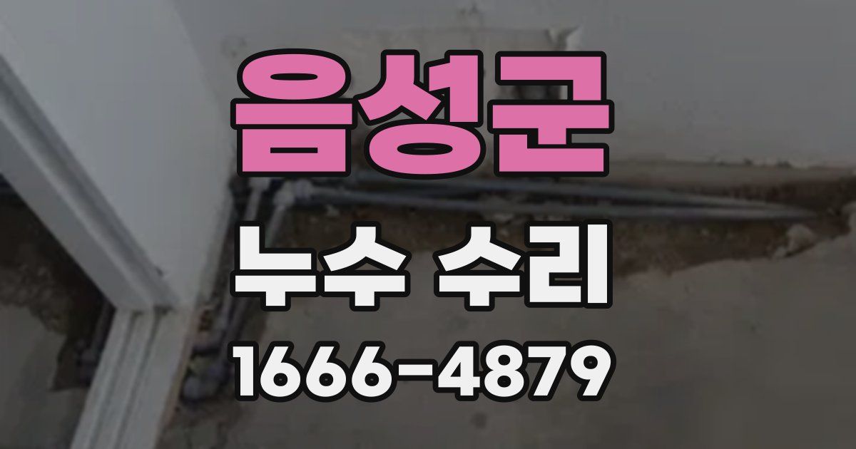 음성군 누수 수리