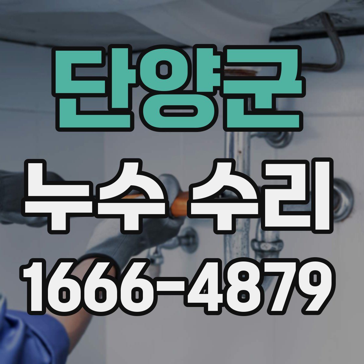 단양군 누수 수리