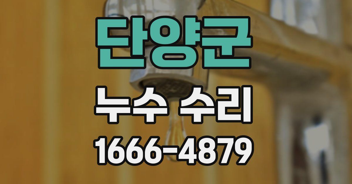 단양군 누수 수리
