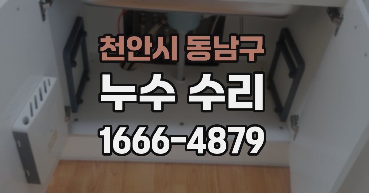천안시 동남구 누수 수리