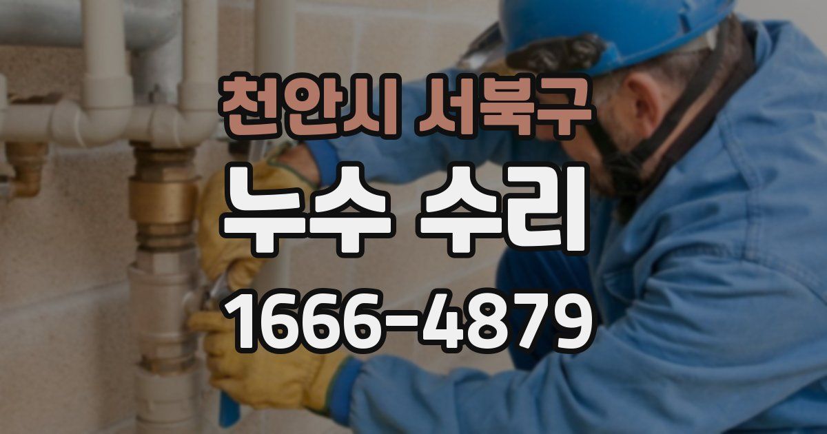 천안시 서북구 누수 수리