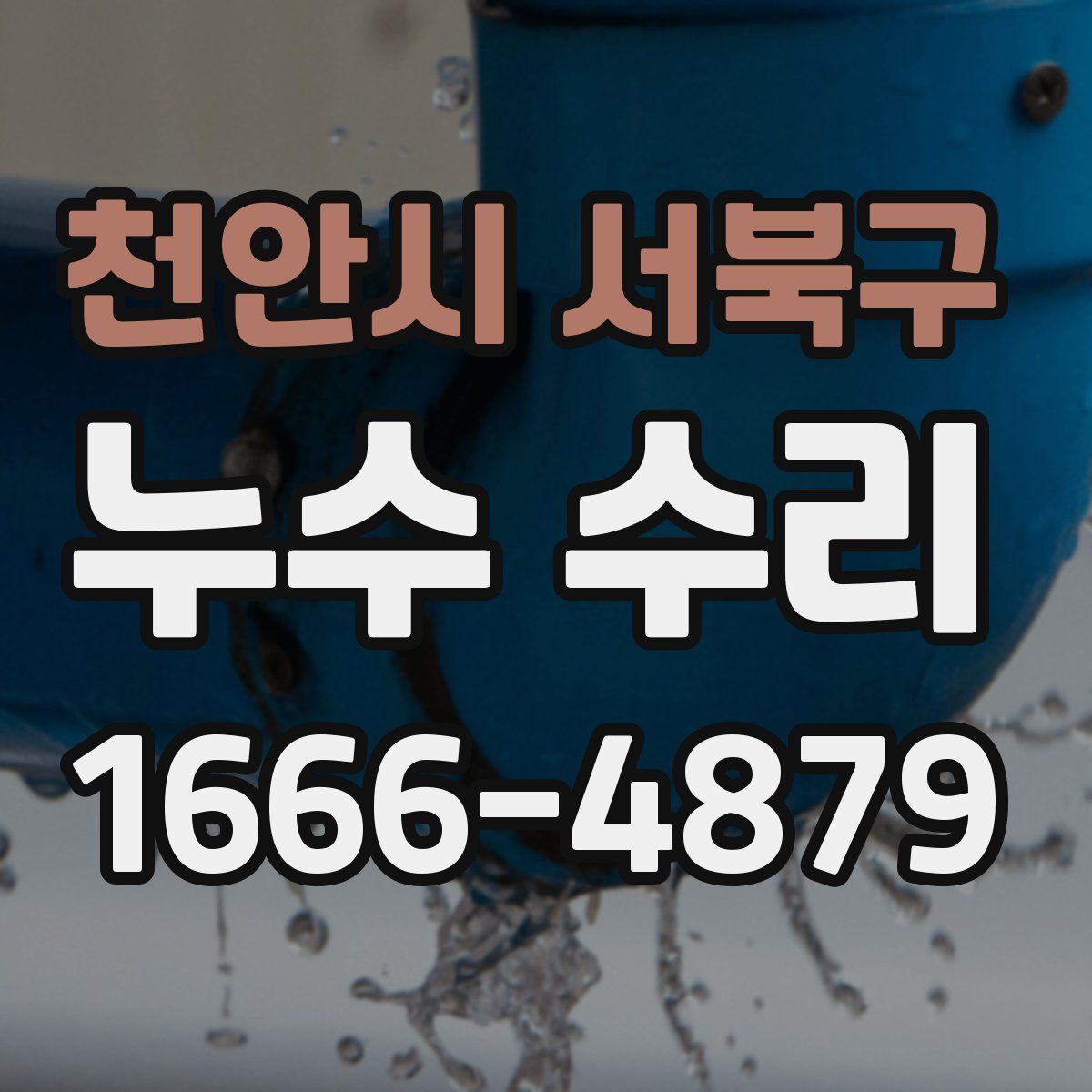 천안시 서북구 누수 수리