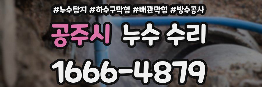 공주시 누수 수리