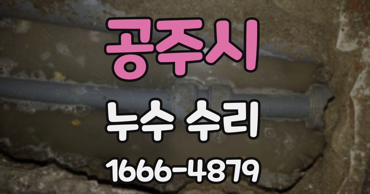 공주시 누수 수리