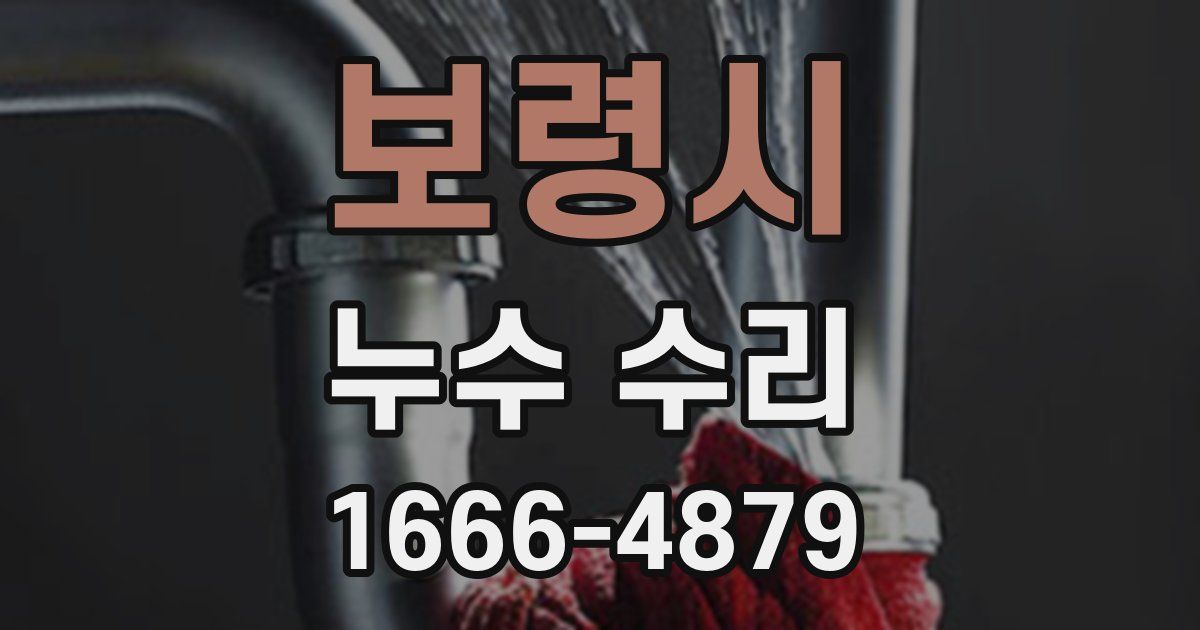 보령시 누수 수리