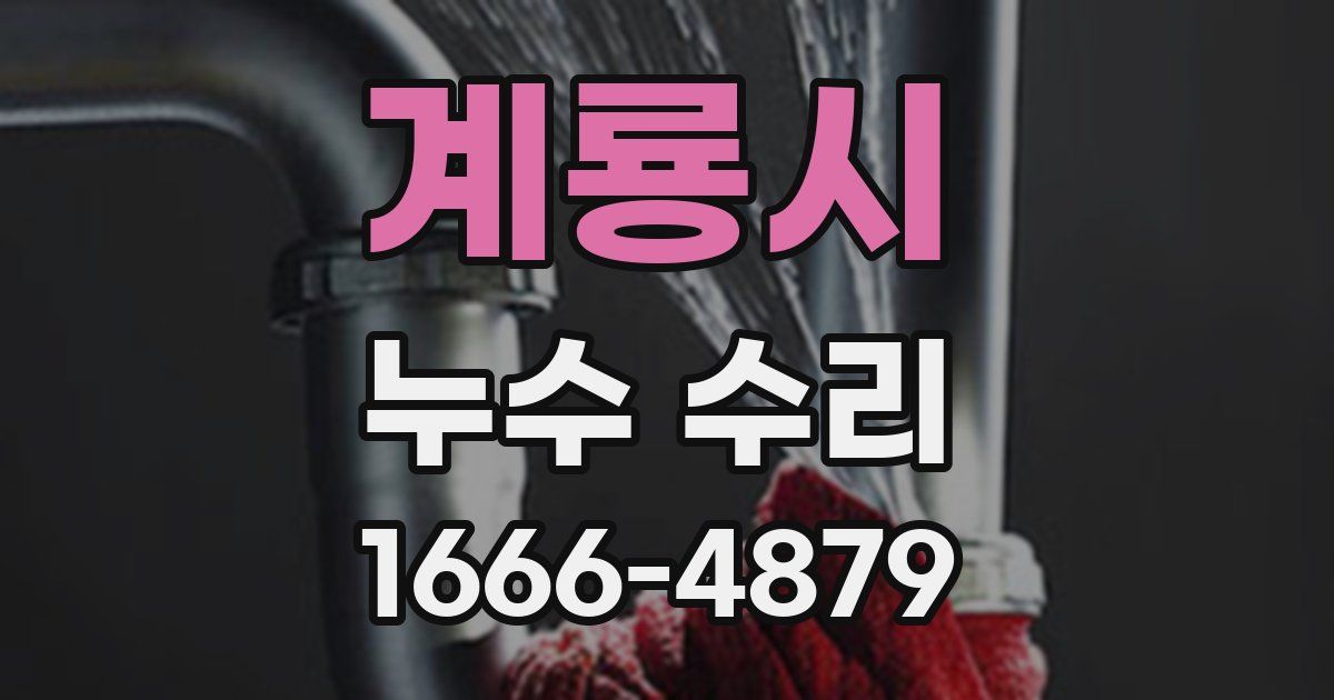 계룡시 누수 수리