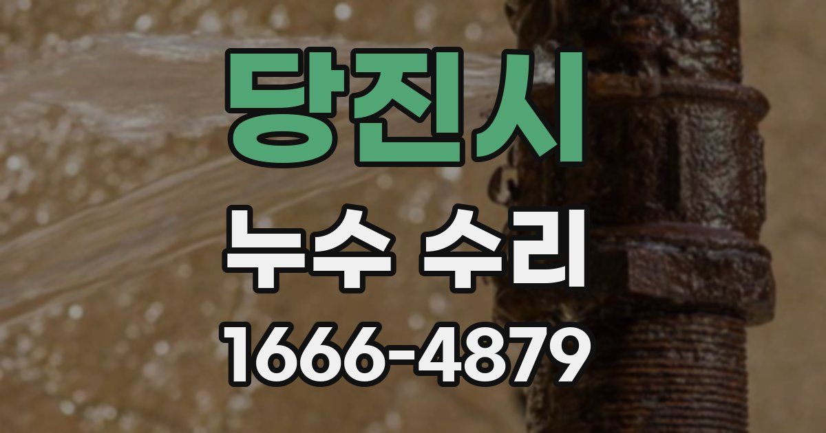 당진시 누수 수리