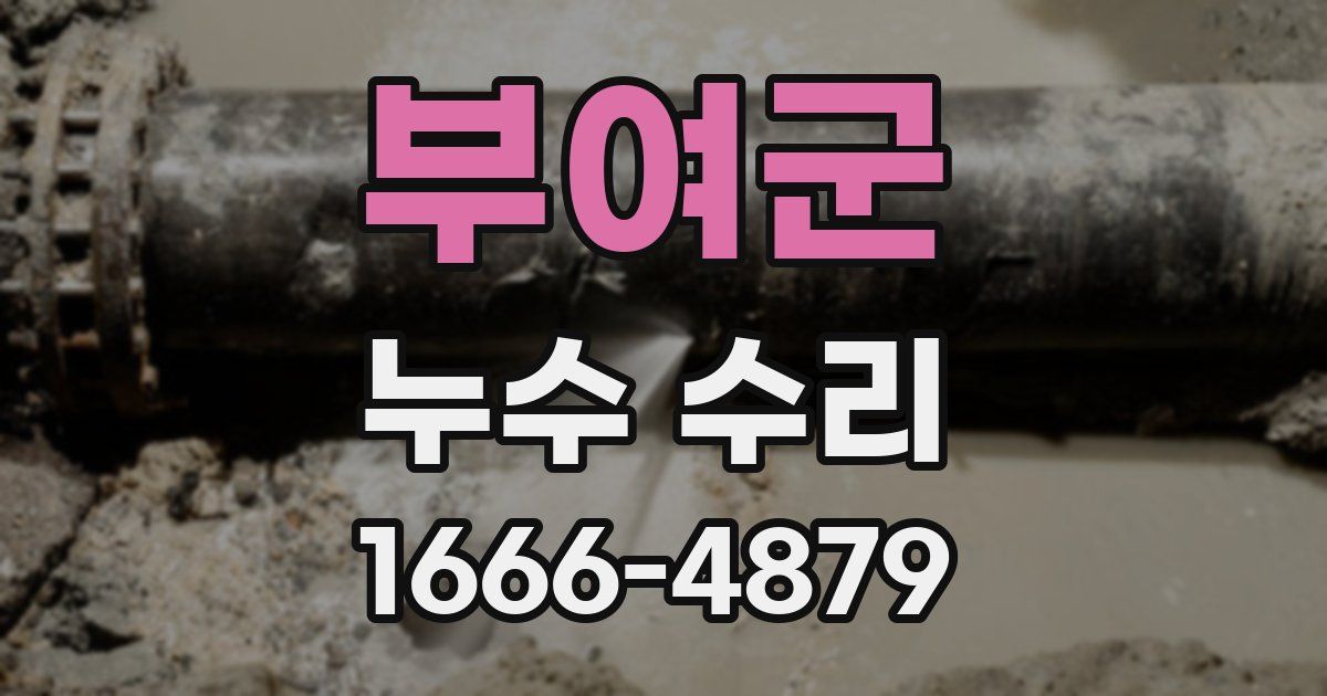 부여군 누수 수리