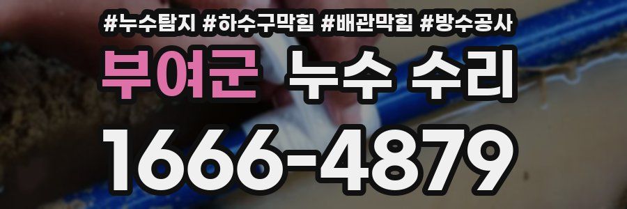 부여군 누수 수리