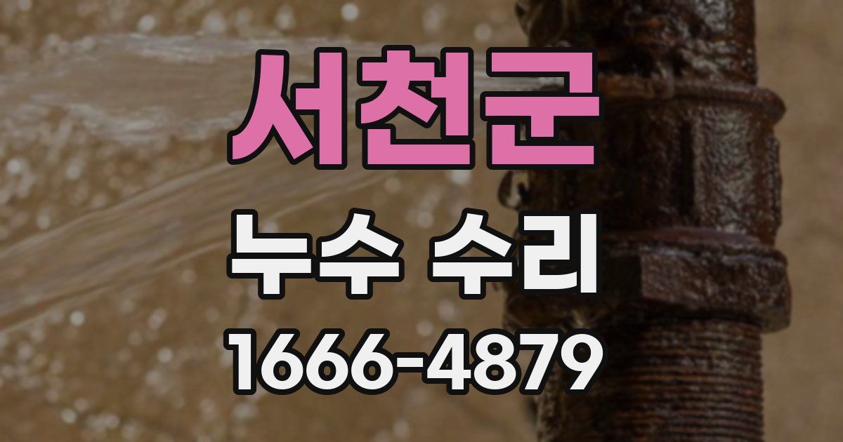 서천군 누수 수리
