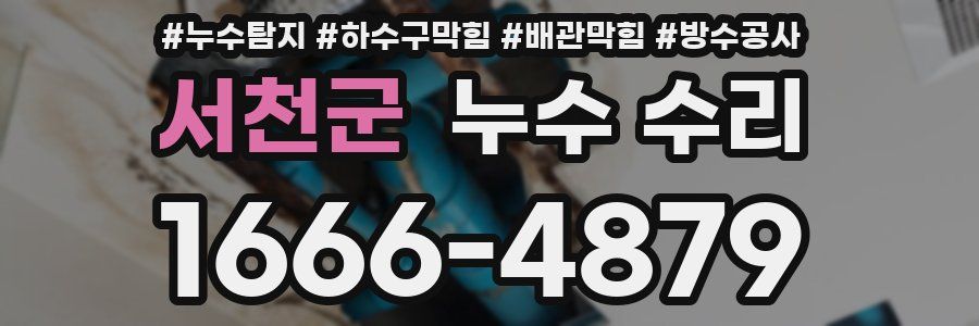 서천군 누수 수리