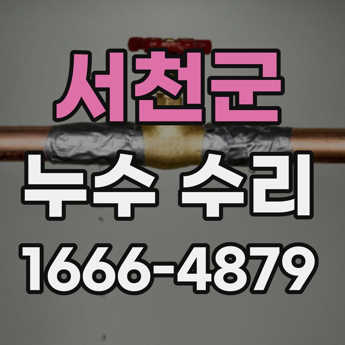 서천군 누수 수리