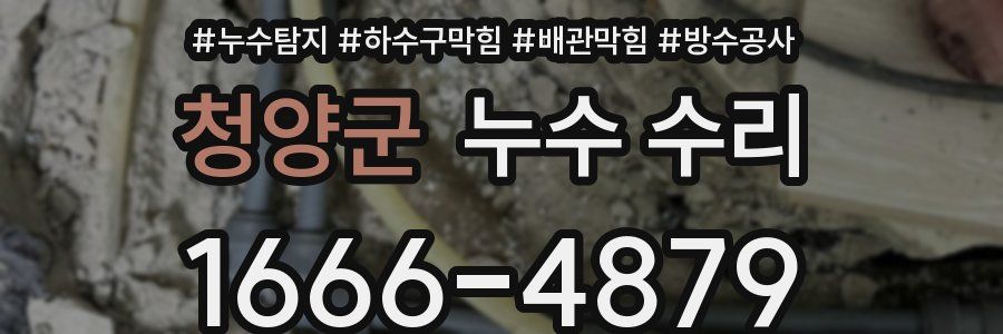 청양군 누수 수리