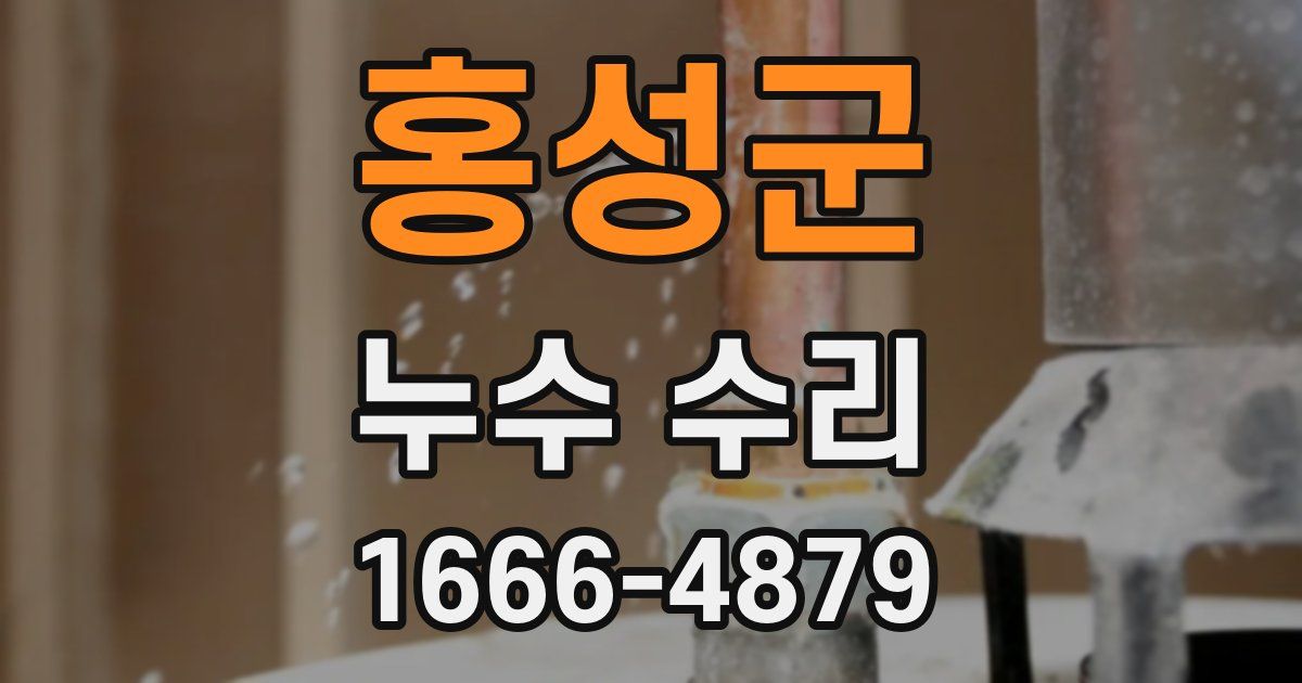 홍성군 누수 수리