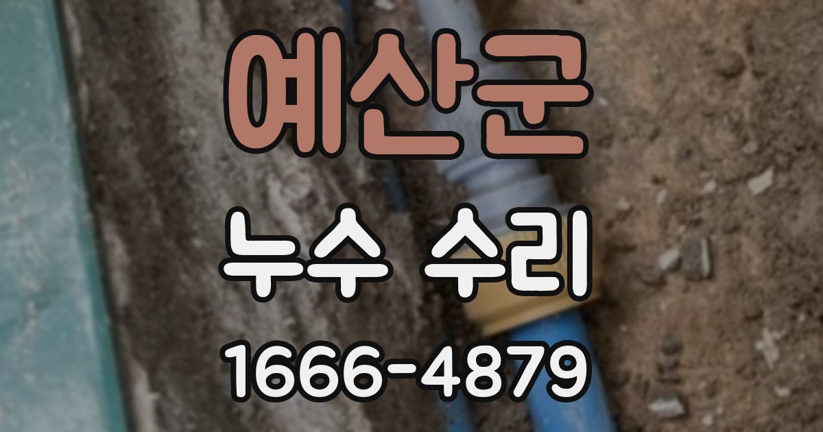 예산군 누수 수리