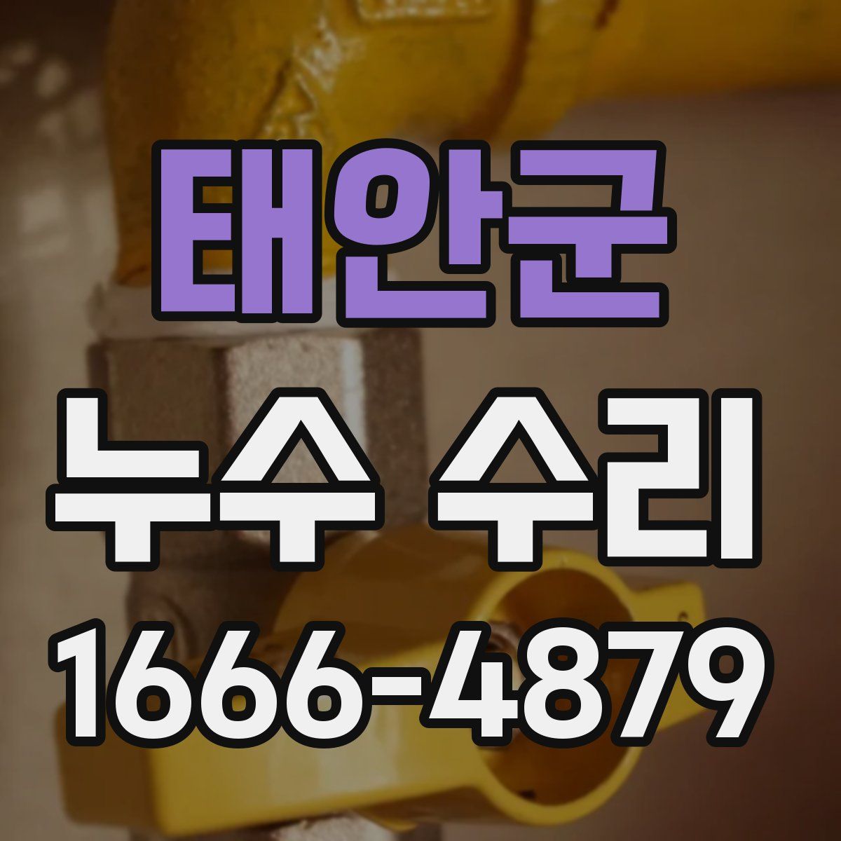 태안군 누수 수리