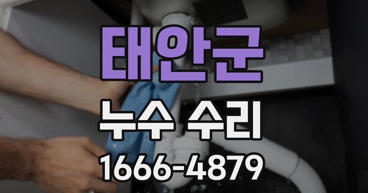 태안군 누수 수리