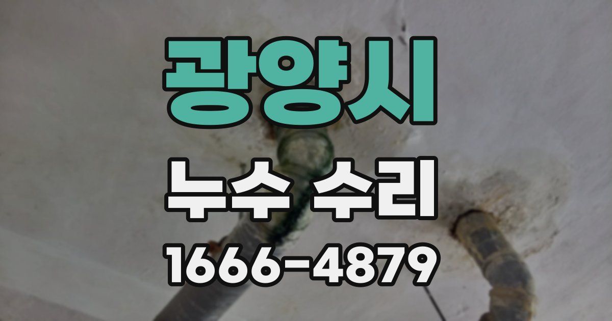 광양시 누수 수리
