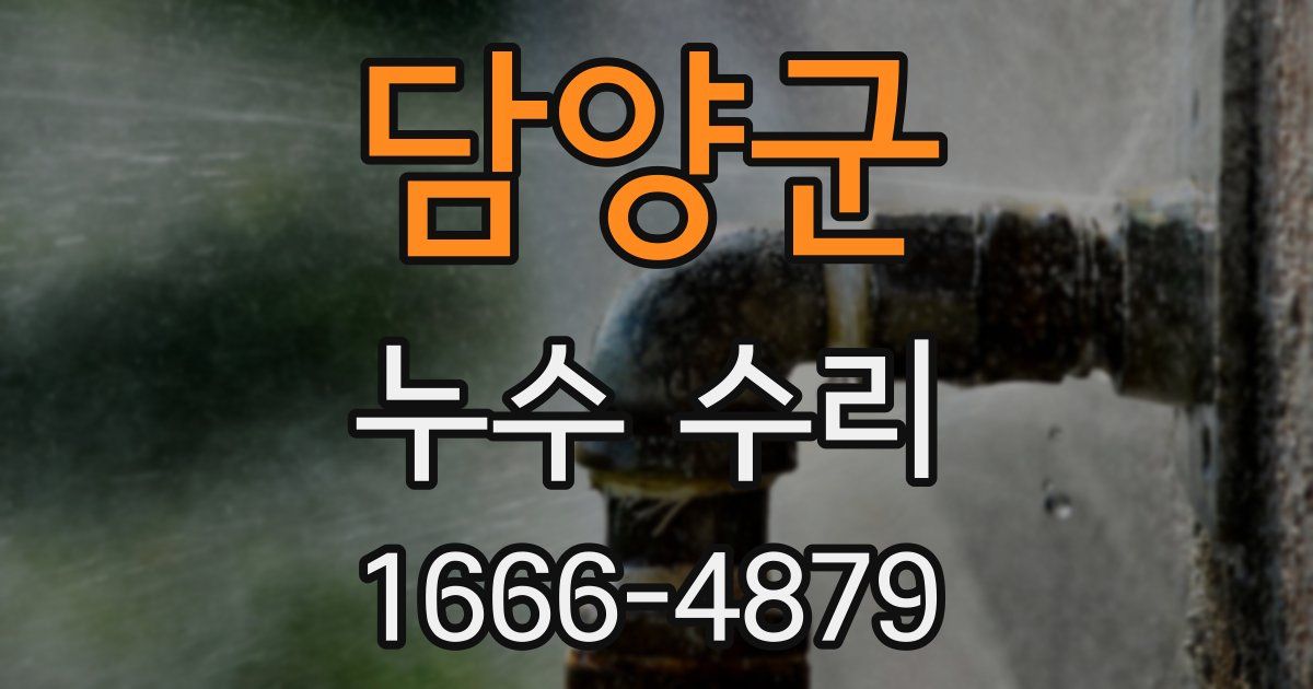 담양군 누수 수리
