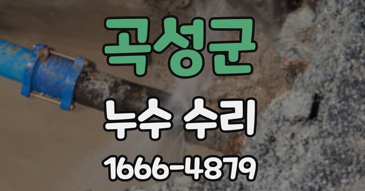 곡성군 누수 수리
