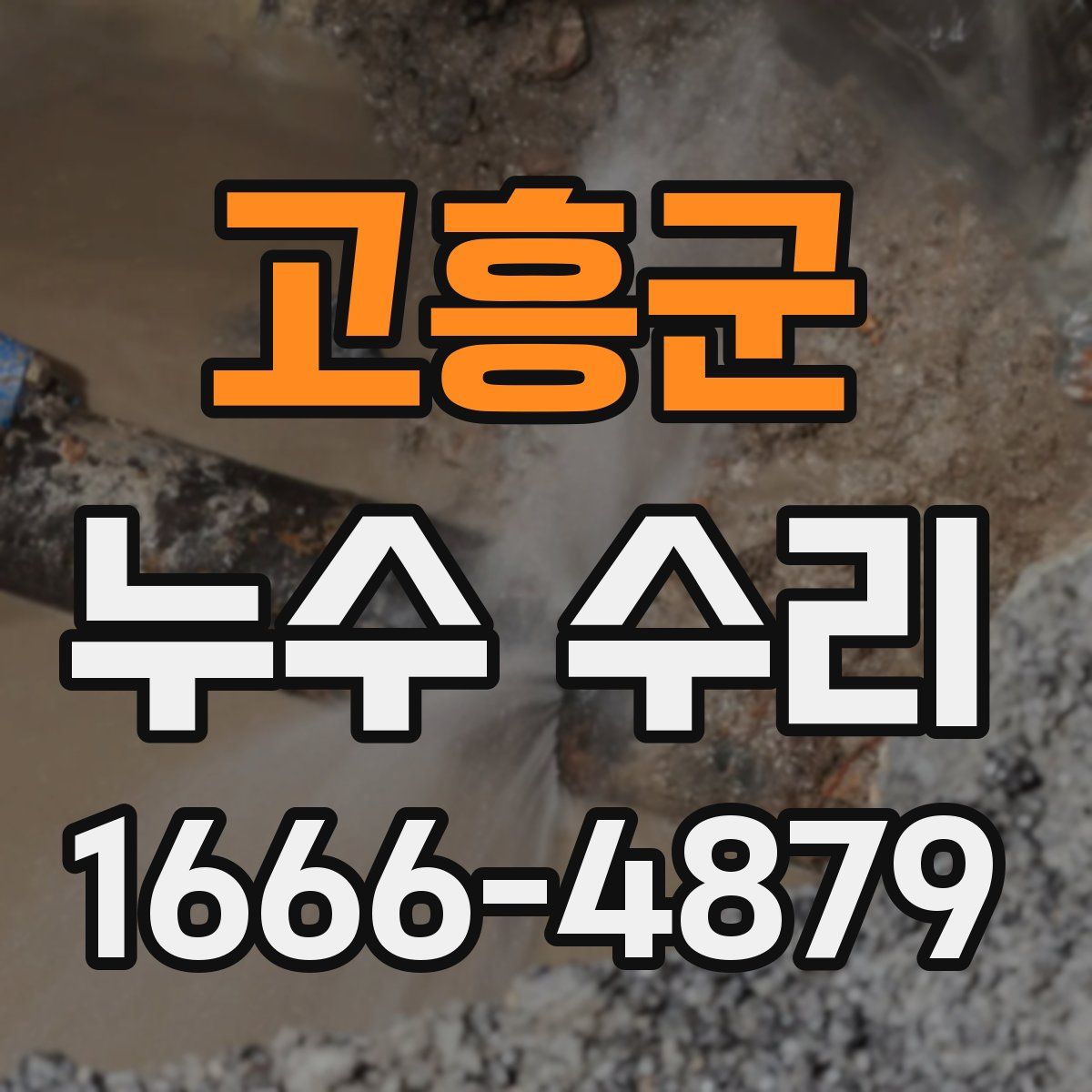 고흥군 누수 수리