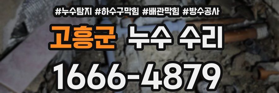 고흥군 누수 수리