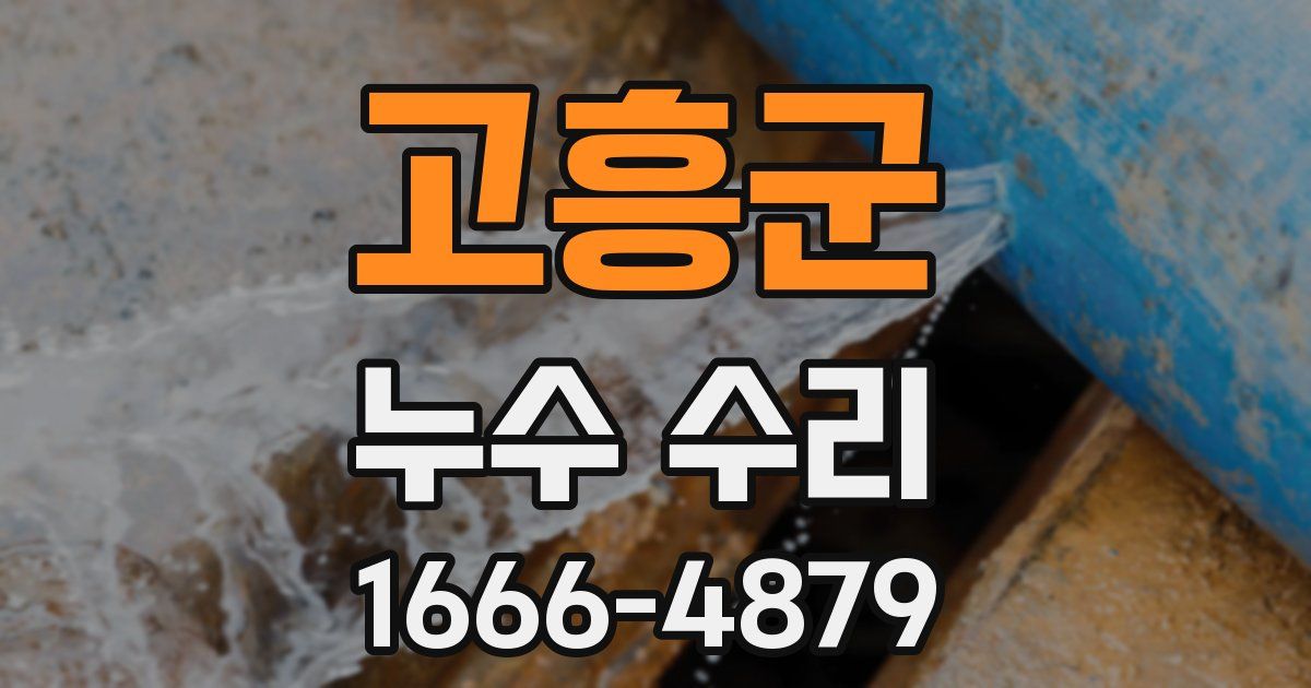 고흥군 누수 수리