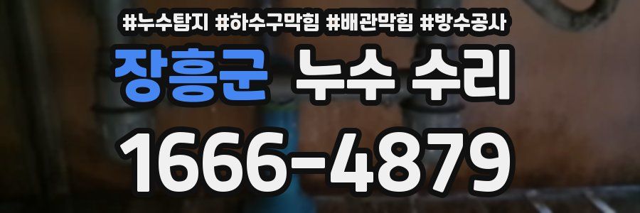 장흥군 누수 수리