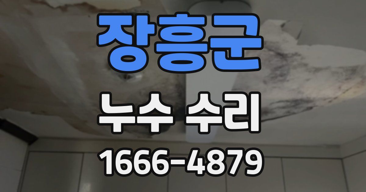 장흥군 누수 수리