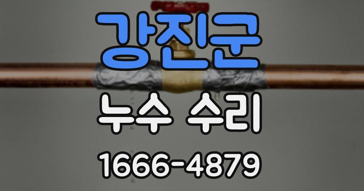 강진군 누수 수리
