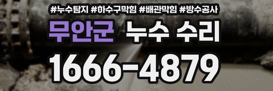 무안군 누수 수리