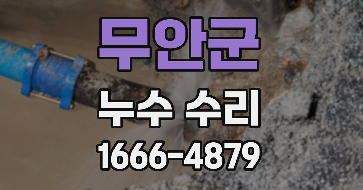 무안군 누수 수리