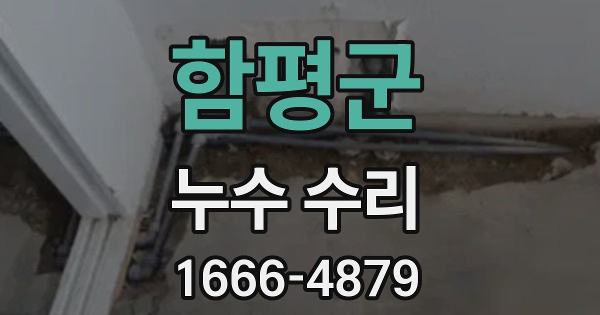 함평군 누수 수리