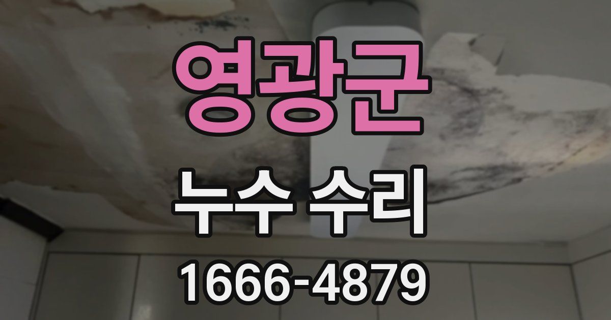 영광군 누수 수리
