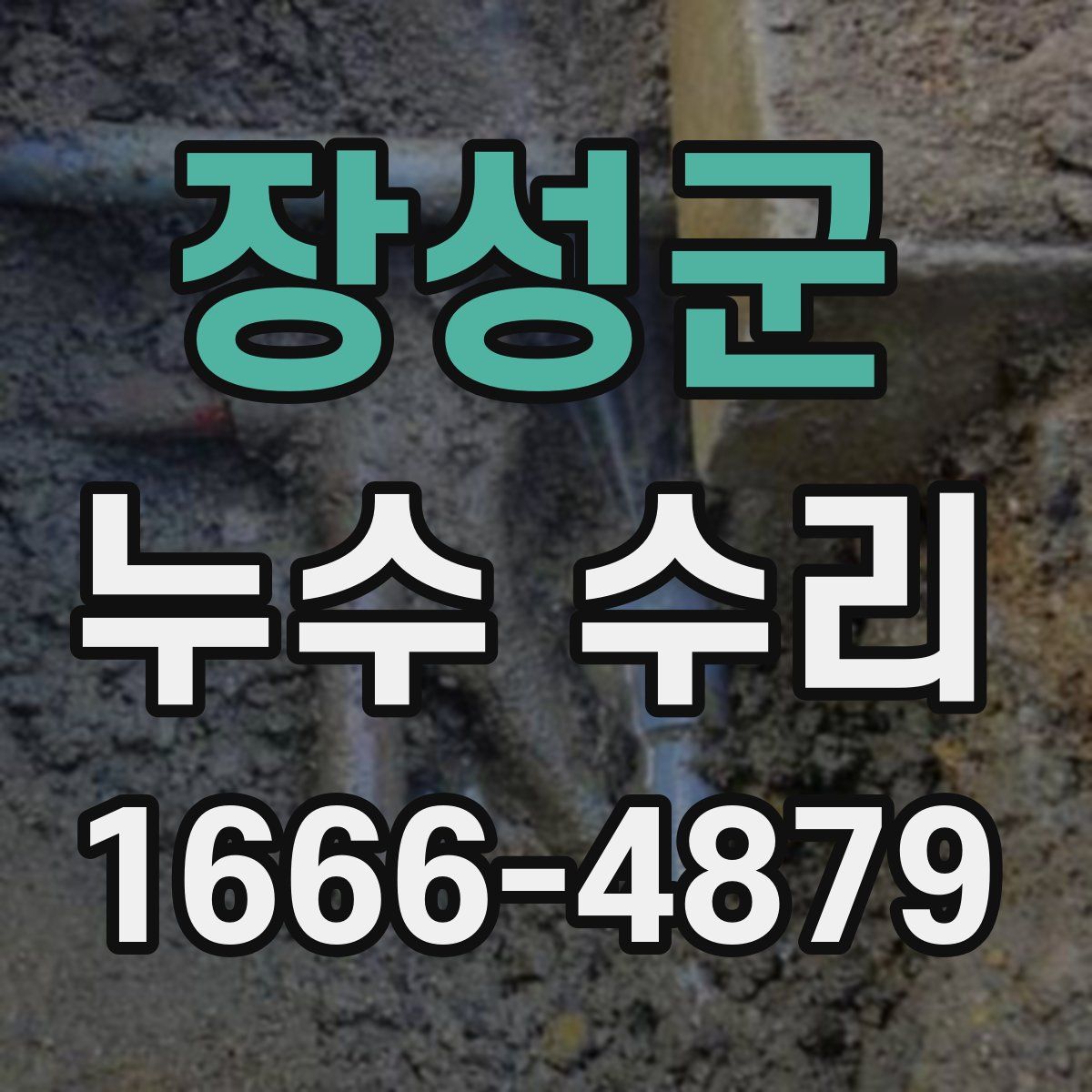 장성군 누수 수리