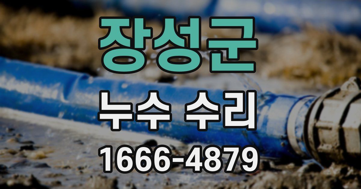 장성군 누수 수리