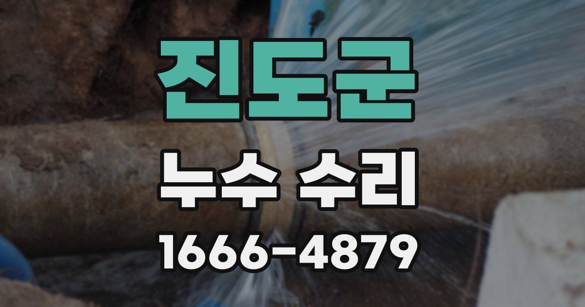진도군 누수 수리