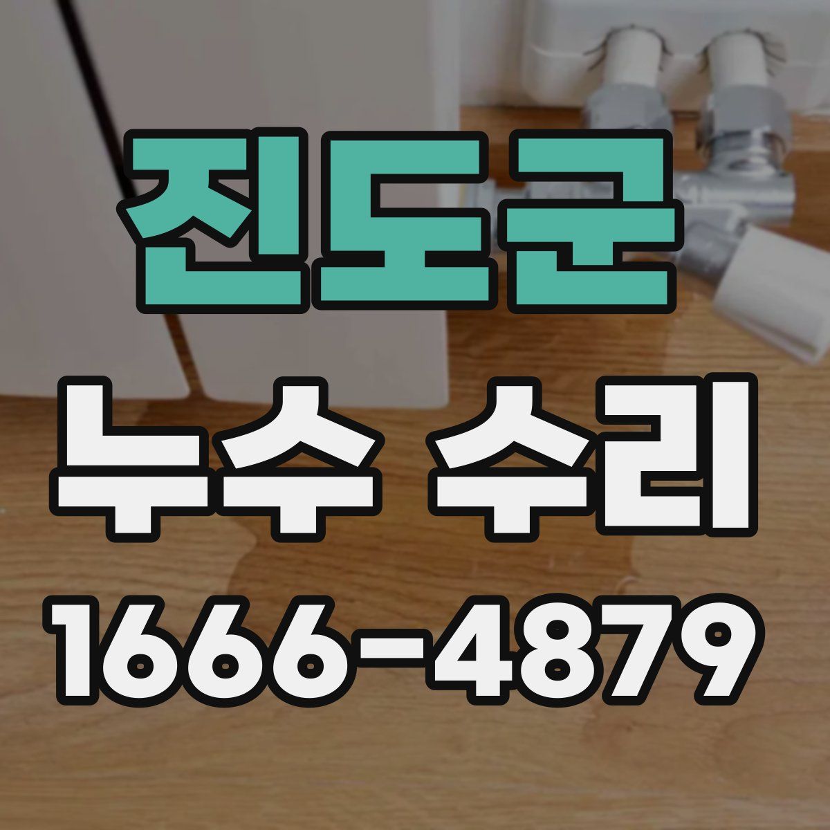 진도군 누수 수리