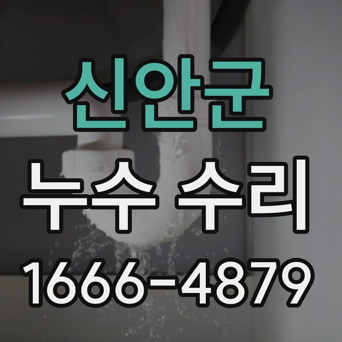신안군 누수 수리