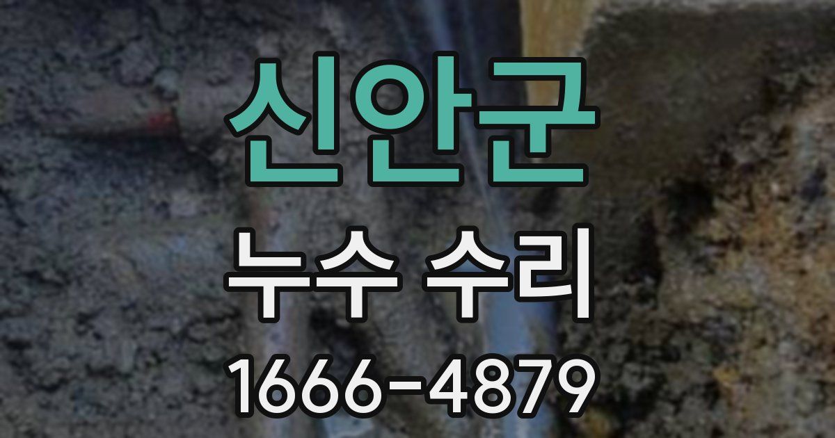 신안군 누수 수리