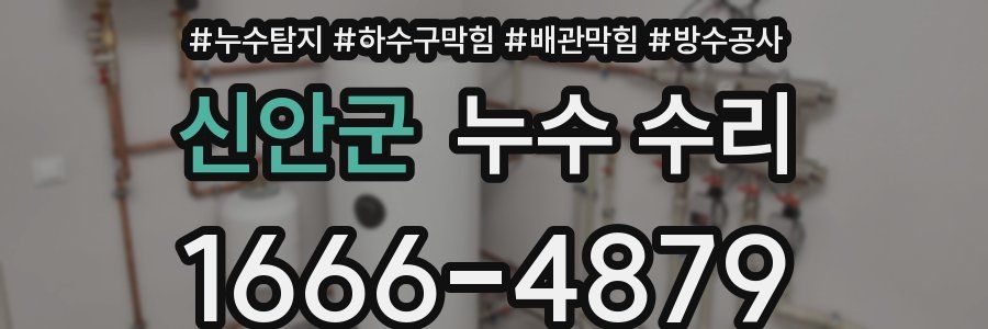 신안군 누수 수리