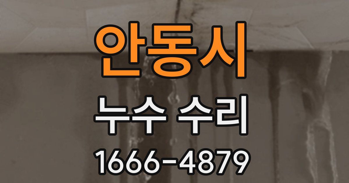 안동시 누수 수리