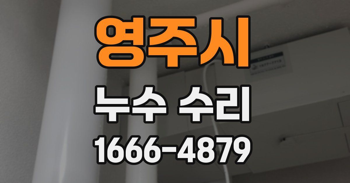 영주시 누수 수리